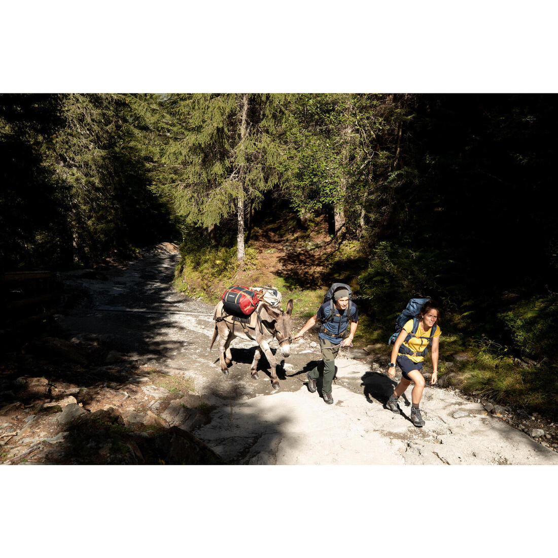 IMG_8383299_10