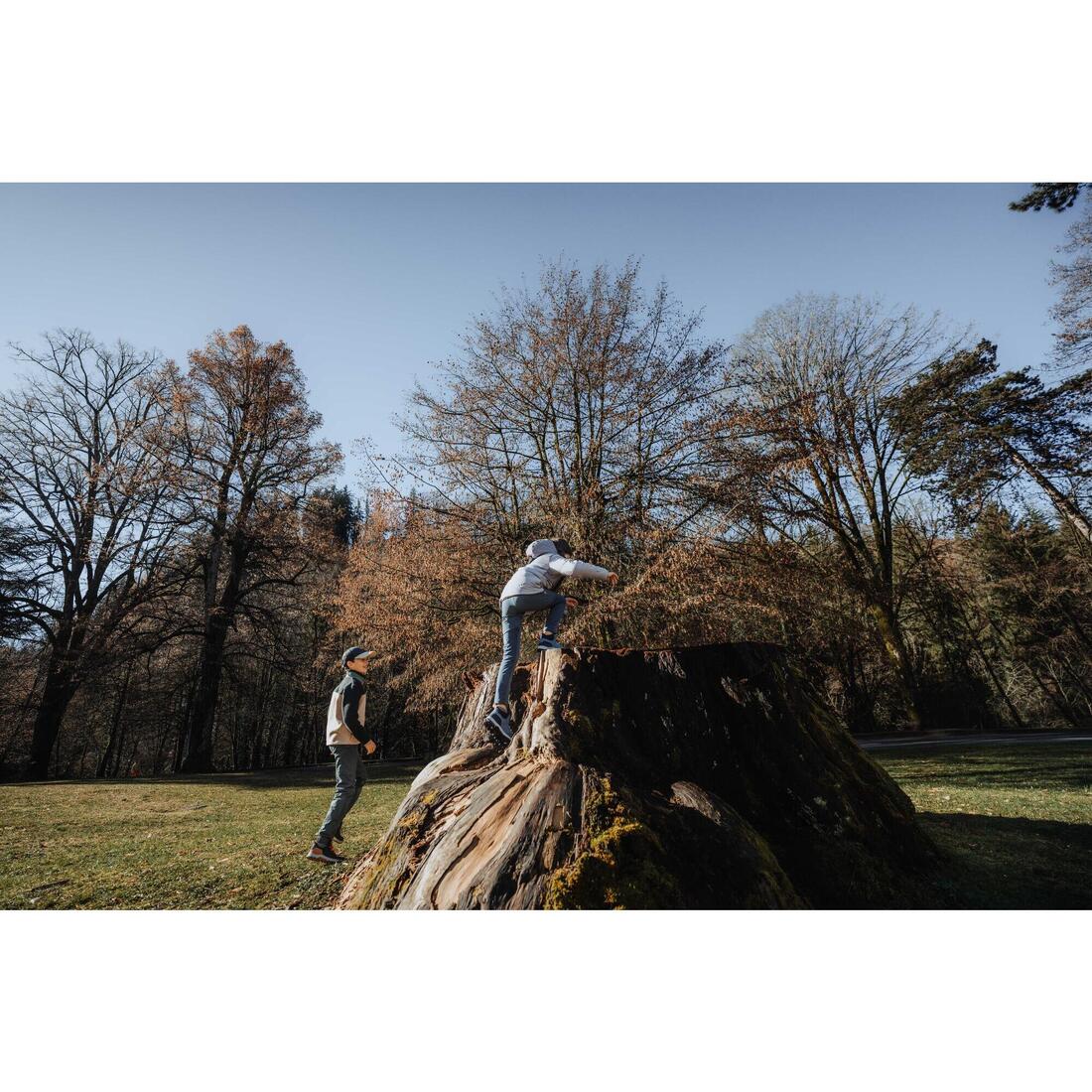 IMG_8811490_7