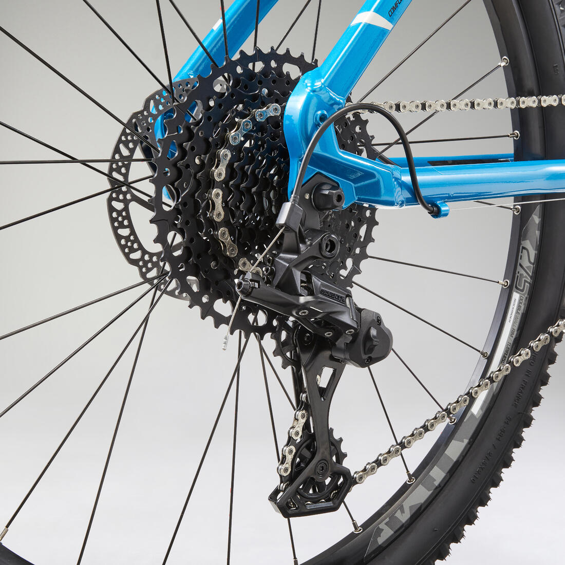 IMG_2008596