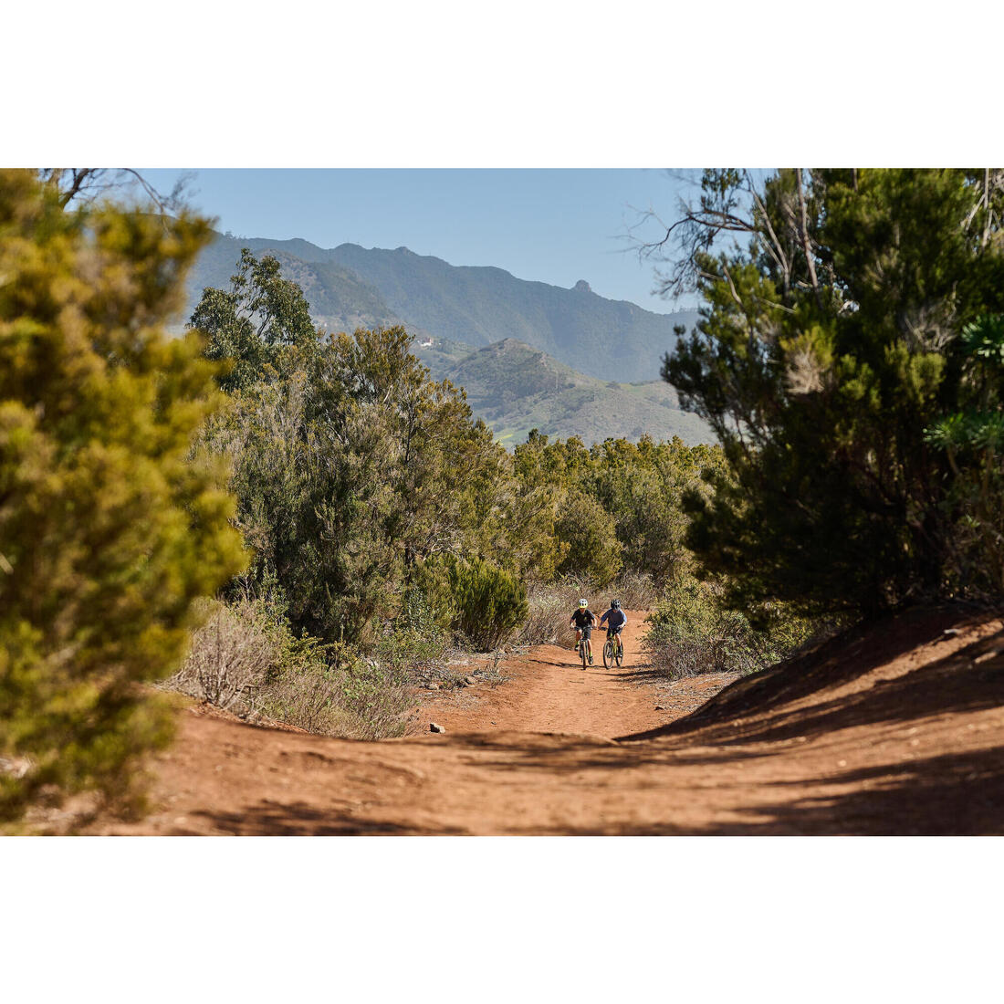 IMG_8733740_18