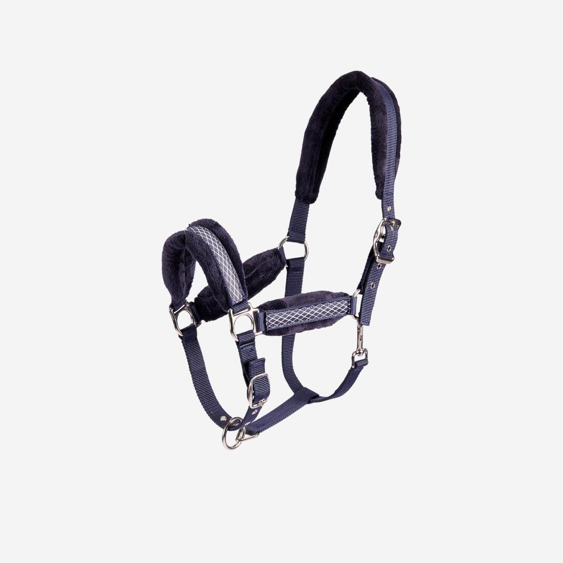 IMG_1550664