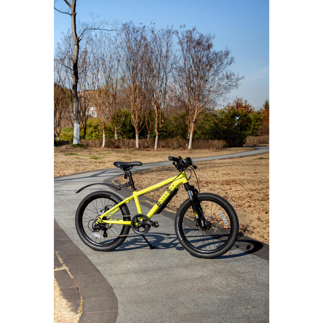 IMG_8609148_12