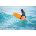 IMG_8544510_9