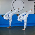 IMG_8545476_13