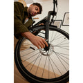 IMG_8386669_2