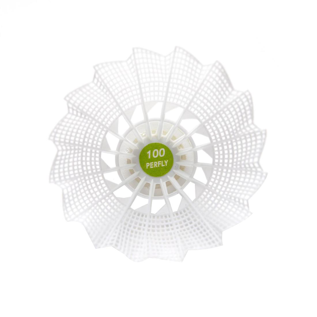 IMG_8590063_13