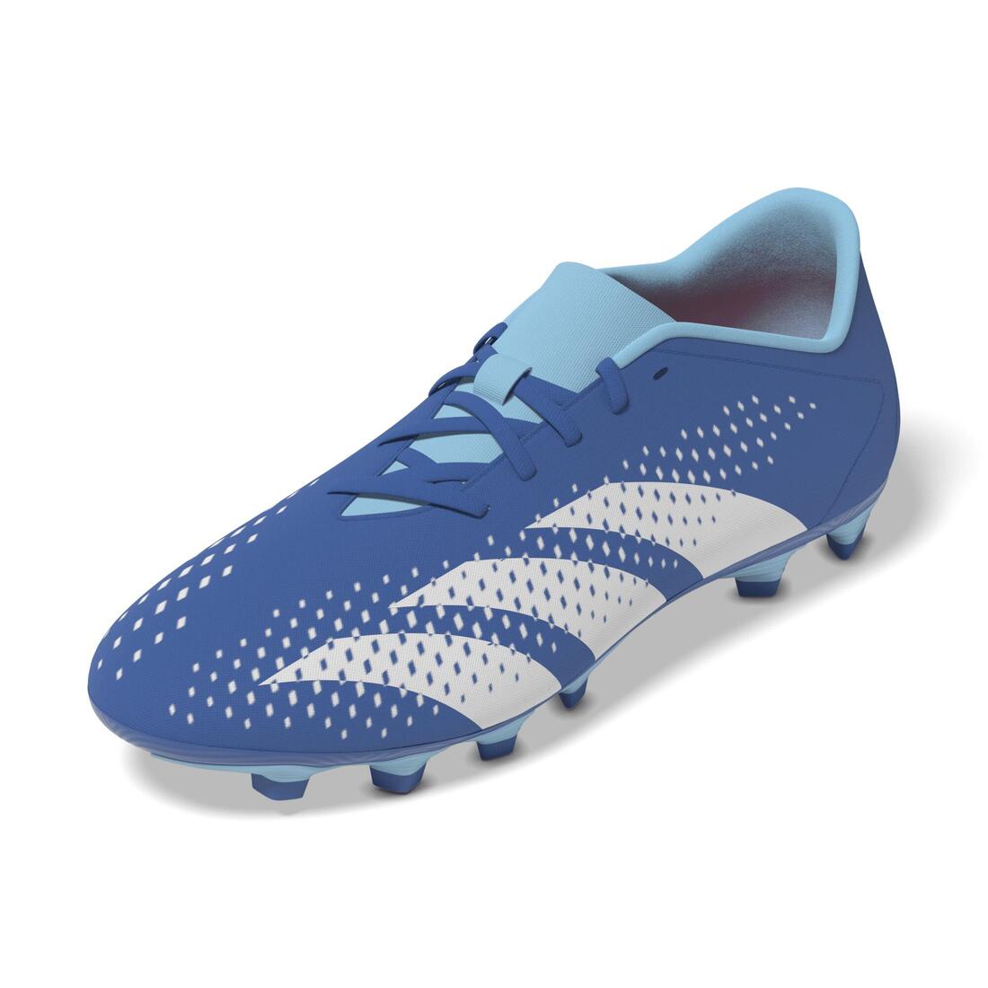 IMG_1008899039_3