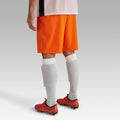 IMG_8527475_2