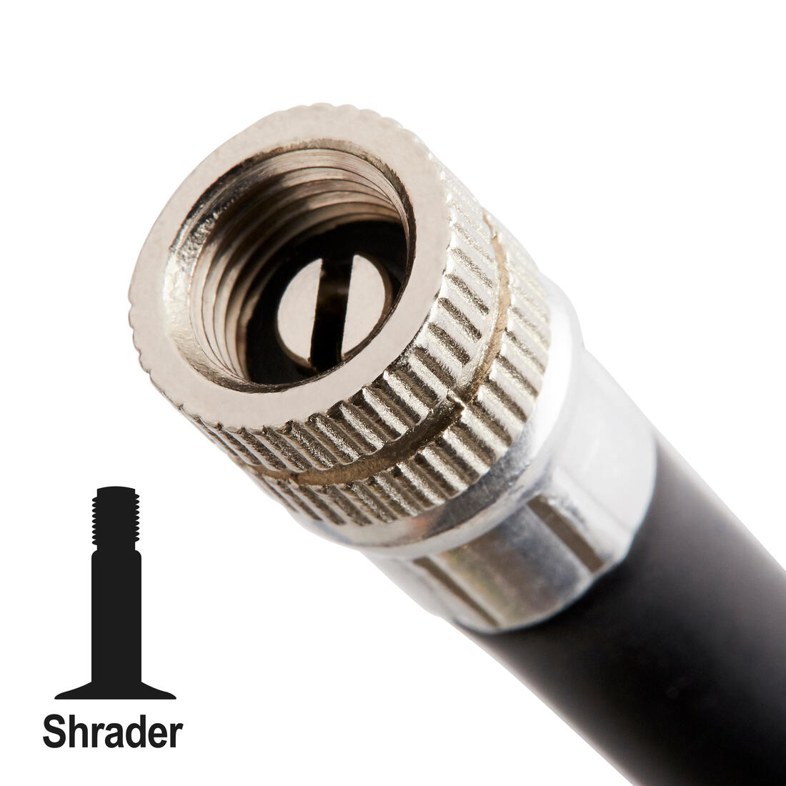 IMG_8543416_2