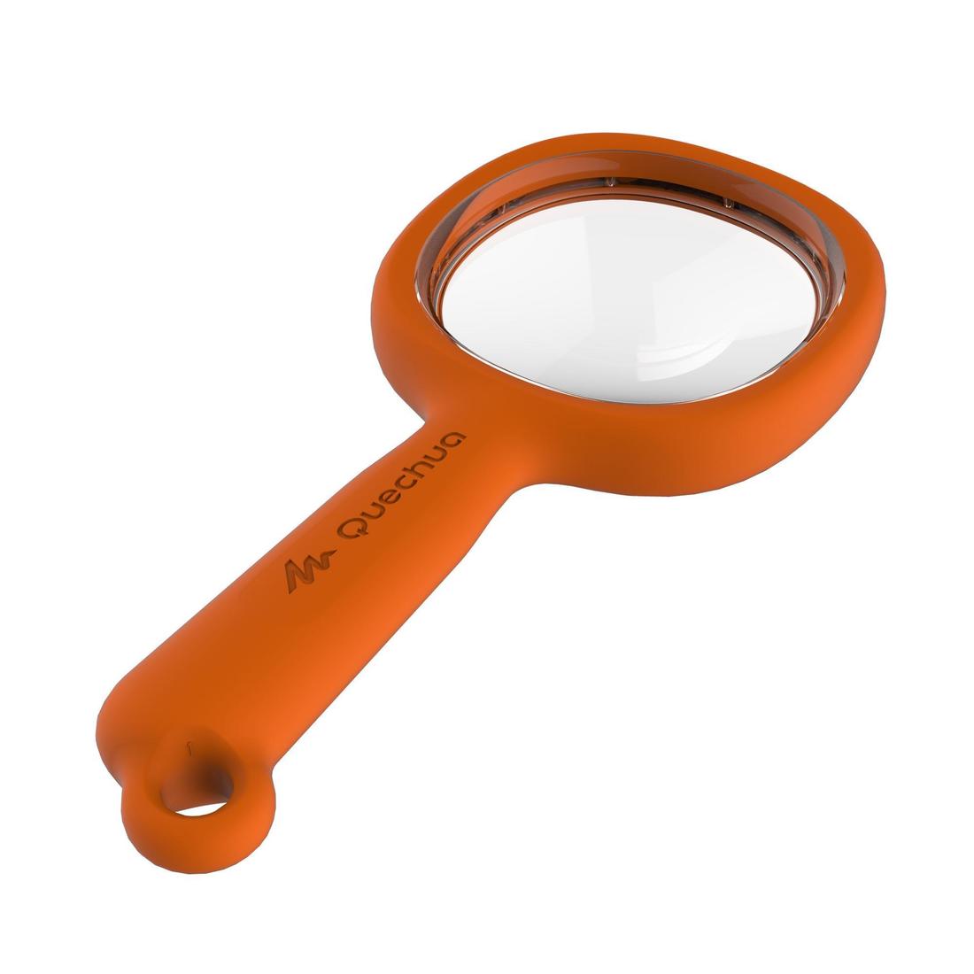 IMG_8330025_1