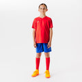 IMG_2960459
