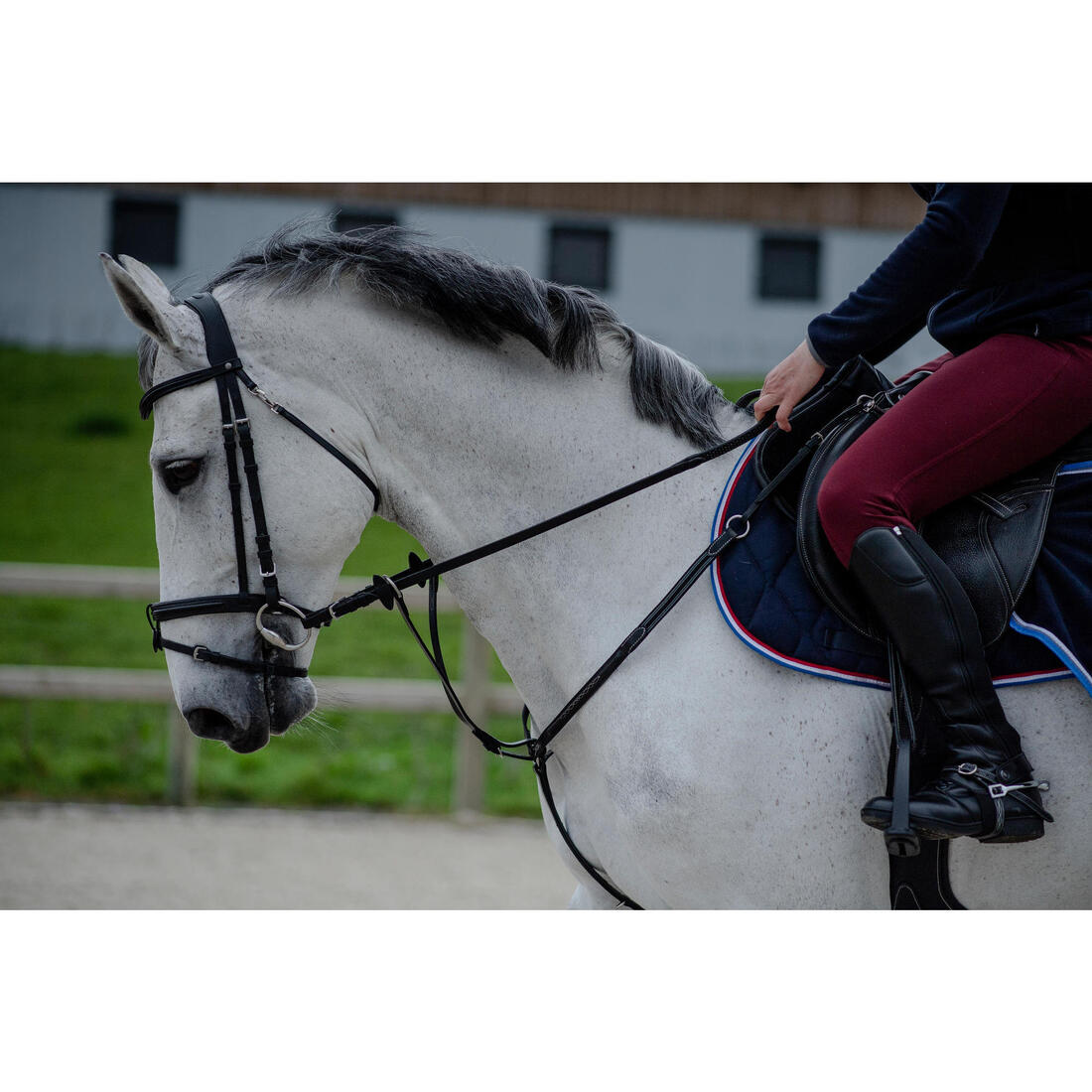 IMG_1505660