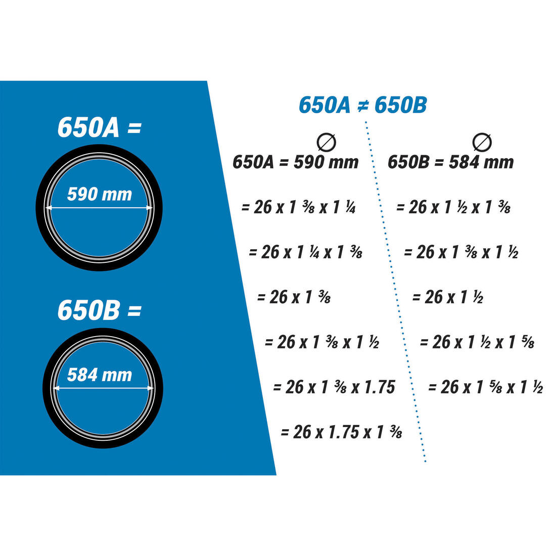 IMG_8487119_2