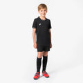 IMG_8578534_1