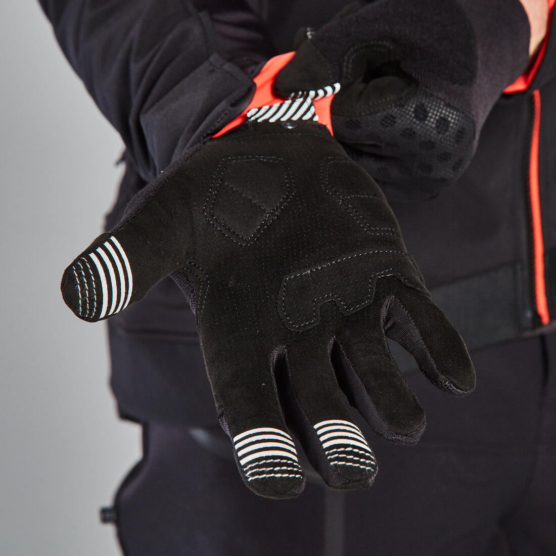 IMG_2031016