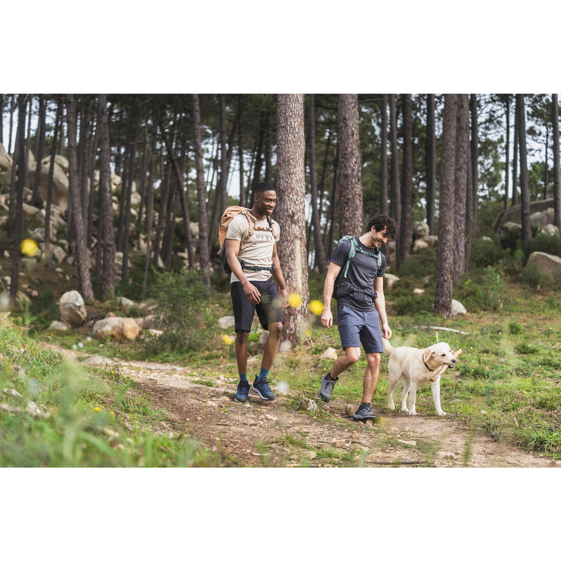 IMG_8587368_8